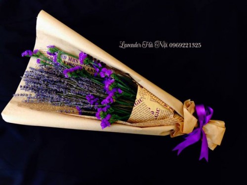Hoa Lavender LVD04