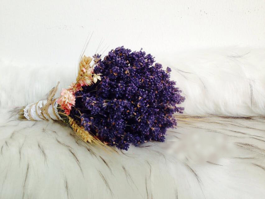 HC01-Lavender