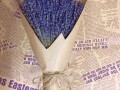 Hoa Lavender LVD09 - 2