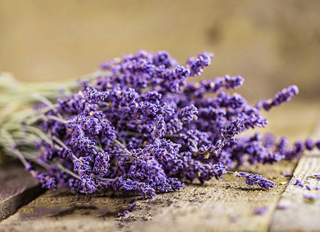 mẹo nhỏ bảo quản hoa Lavender khô