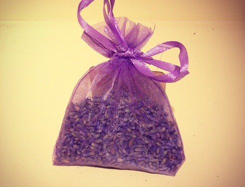 tui-thom-lavender-1