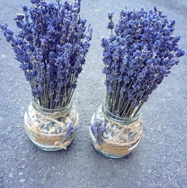 Lo-hoa-Lavender-LHLav13