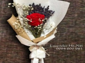 Hoa lavender LVD12