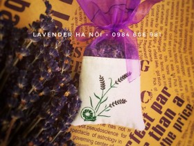 Túi thơm lavender