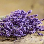 mẹo nhỏ bảo quản hoa Lavender khô